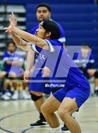 Photo from the gallery "Hinkley @ Kennedy"