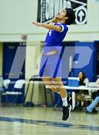 Photo from the gallery "Hinkley @ Kennedy"