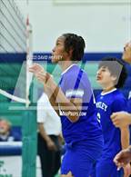 Photo from the gallery "Hinkley @ Kennedy"