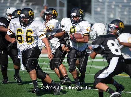 Thumbnail 3 in Pioneer vs Cerritos photogallery.
