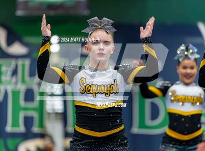 Thumbnail 3 in Sequoyah (Creekview Classic) photogallery.