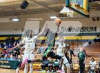 Photo from the gallery "Richmond @ Pine Forest "