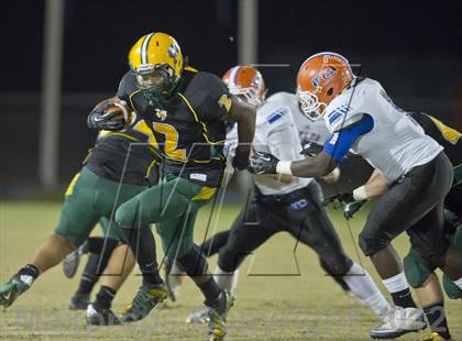 Thumbnail 3 in Yulee's Derrick Henry breaks national rushing record photogallery.