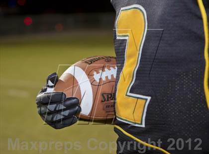 Thumbnail 1 in Yulee's Derrick Henry breaks national rushing record photogallery.