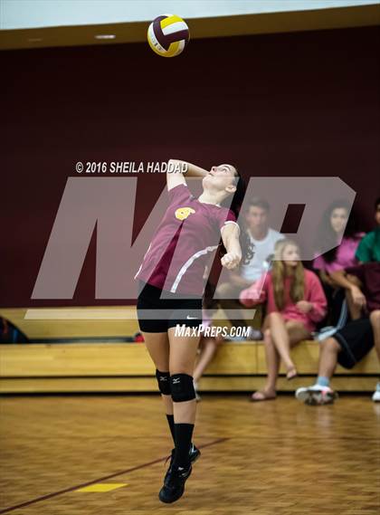Thumbnail 3 in Admiral Farragut @ Brooks DeBartolo Collegiate photogallery.