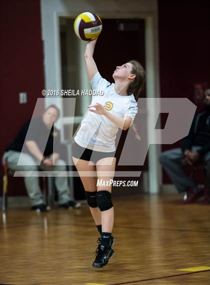 Thumbnail 2 in Admiral Farragut @ Brooks DeBartolo Collegiate photogallery.