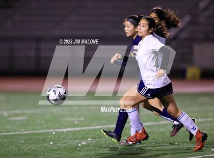 Thumbnail 3 in Lynbrook @ Milpitas photogallery.