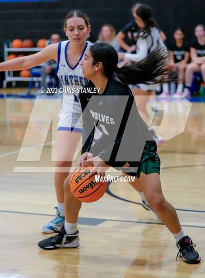 Thumbnail 2 in Robert Bateman vs Paradise Honors (Panther Hoops Classic) photogallery.