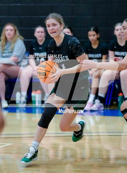 Thumbnail 1 in Robert Bateman vs Paradise Honors (Panther Hoops Classic) photogallery.