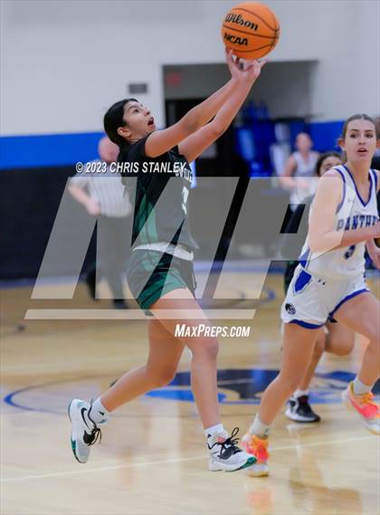 Thumbnail 3 in Robert Bateman vs Paradise Honors (Panther Hoops Classic) photogallery.