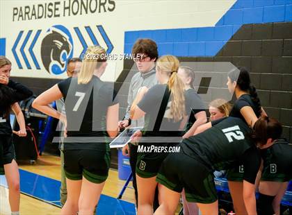 Thumbnail 1 in Robert Bateman vs Paradise Honors (Panther Hoops Classic) photogallery.