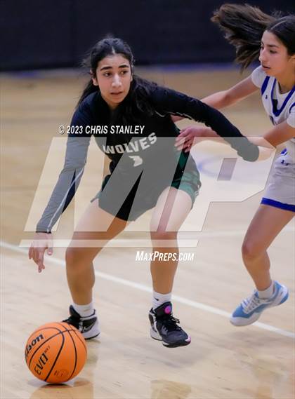 Thumbnail 3 in Robert Bateman vs Paradise Honors (Panther Hoops Classic) photogallery.
