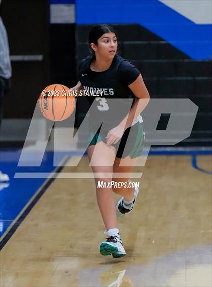 Thumbnail 3 in Robert Bateman vs Paradise Honors (Panther Hoops Classic) photogallery.