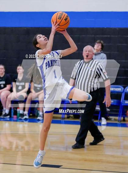 Thumbnail 1 in Robert Bateman vs Paradise Honors (Panther Hoops Classic) photogallery.