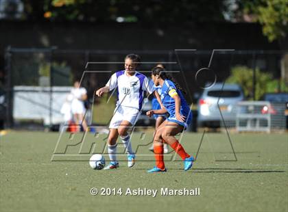 Thumbnail 1 in Math Science & Engineering vs Herbert Lehman (PSAL B Division Semifinal) photogallery.