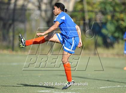 Thumbnail 1 in Math Science & Engineering vs Herbert Lehman (PSAL B Division Semifinal) photogallery.