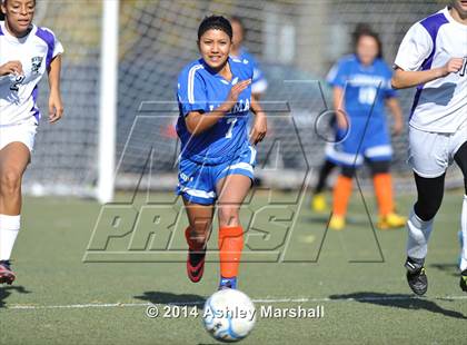 Thumbnail 2 in Math Science & Engineering vs Herbert Lehman (PSAL B Division Semifinal) photogallery.