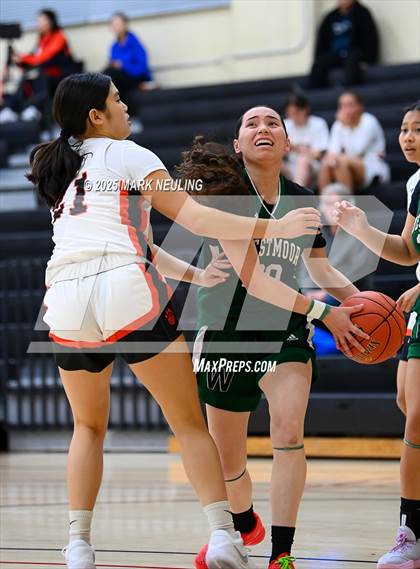 Thumbnail 3 in Westmoor @ San Mateo photogallery.