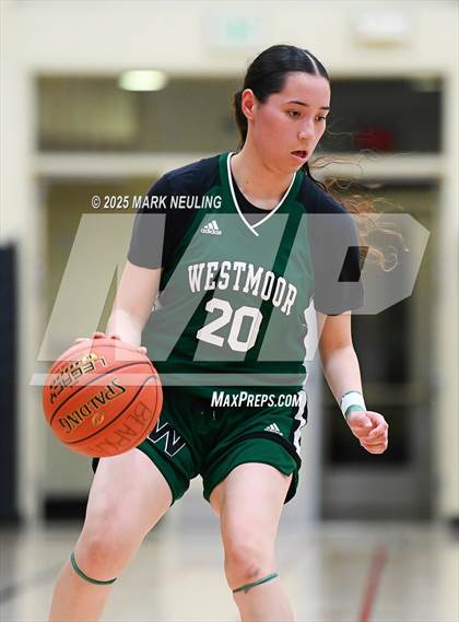 Thumbnail 3 in Westmoor @ San Mateo photogallery.