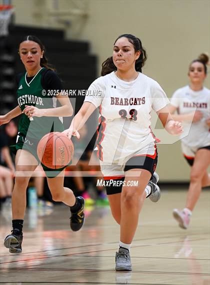 Thumbnail 3 in Westmoor @ San Mateo photogallery.