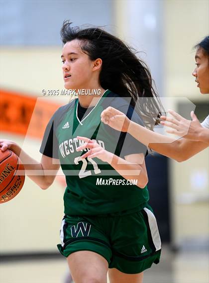 Thumbnail 3 in Westmoor @ San Mateo photogallery.