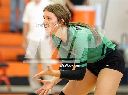 Thumbnail 1 in Overton vs Detroit photogallery.