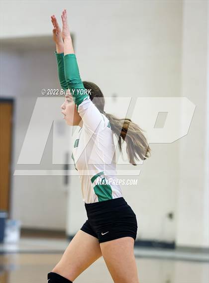 Thumbnail 1 in Overton vs Detroit photogallery.