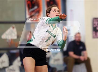Thumbnail 3 in Overton vs Detroit photogallery.