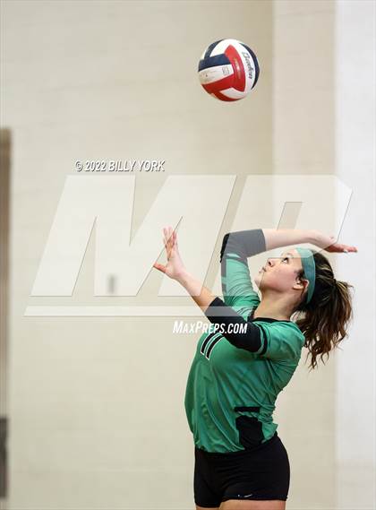 Thumbnail 2 in Overton vs Detroit photogallery.