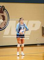 Photo from the gallery "Pueblo @ Sahuaro"