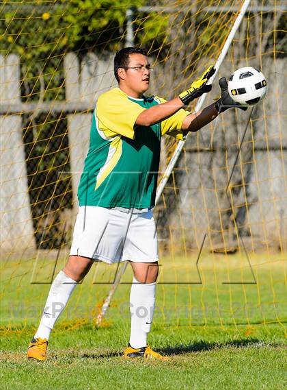 Thumbnail 2 in Sacramento @ Florin photogallery.