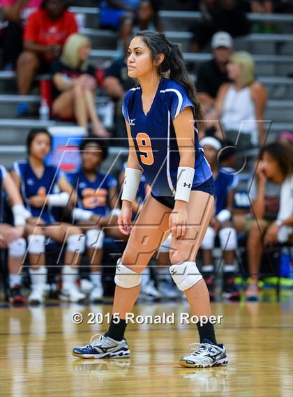 Thumbnail 3 in Horn @ Sachse photogallery.