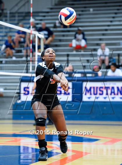 Thumbnail 2 in Horn @ Sachse photogallery.