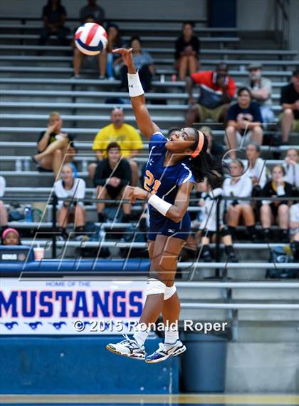 Thumbnail 2 in Horn @ Sachse photogallery.