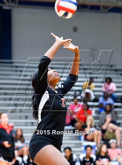 Thumbnail 2 in Horn @ Sachse photogallery.