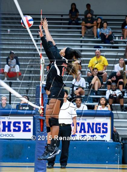 Thumbnail 1 in Horn @ Sachse photogallery.
