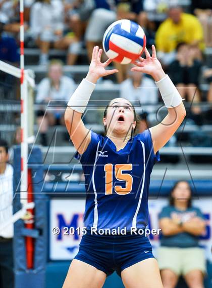 Thumbnail 2 in Horn @ Sachse photogallery.