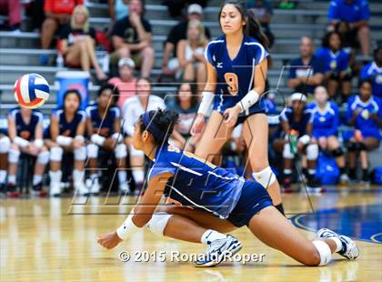 Thumbnail 1 in Horn @ Sachse photogallery.