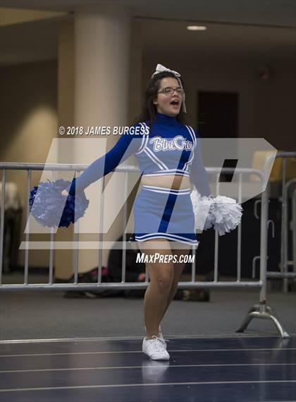 Thumbnail 3 in Girls Prep vs. Brentwood Academy photogallery.