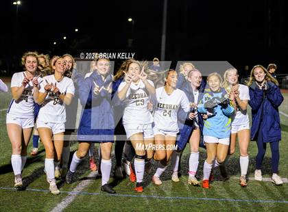Thumbnail 3 in Needham @ Weymouth photogallery.