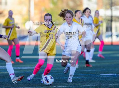 Thumbnail 1 in Needham @ Weymouth photogallery.