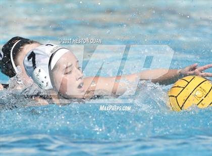 Thumbnail 3 in Canyon @ Foothill photogallery.