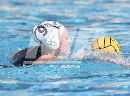 Thumbnail 1 in Canyon @ Foothill photogallery.