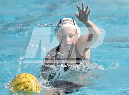 Thumbnail 1 in Canyon @ Foothill photogallery.