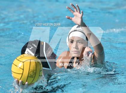 Thumbnail 2 in Canyon @ Foothill photogallery.