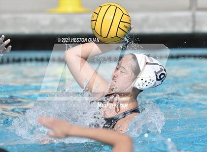 Thumbnail 1 in Canyon @ Foothill photogallery.