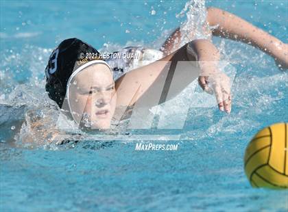 Thumbnail 3 in Canyon @ Foothill photogallery.