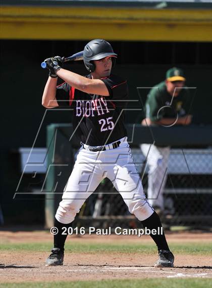 Thumbnail 2 in Canyon del Oro vs. Brophy College Prep (Horizon Baseball Tournament) photogallery.