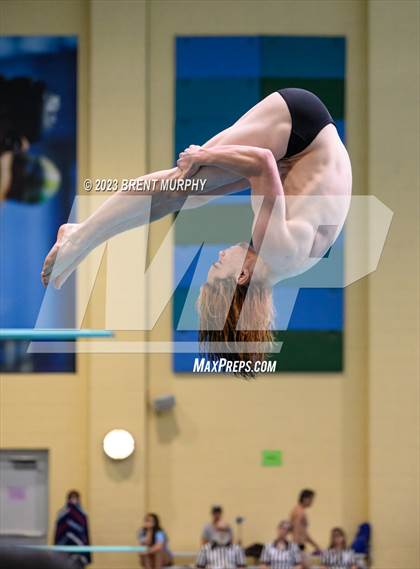 Thumbnail 1 in CHSAA 4A Boys Diving - State Championship photogallery.