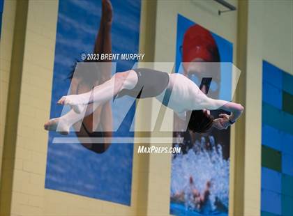 Thumbnail 1 in CHSAA 4A Boys Diving - State Championship photogallery.